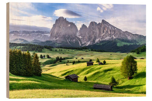 Trebilde Alpe di Siusi South Tyrol