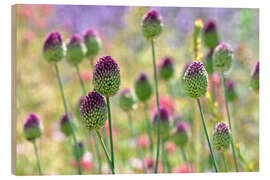 Wood print Beautiful allium field