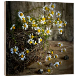 Wood print  chamomile 