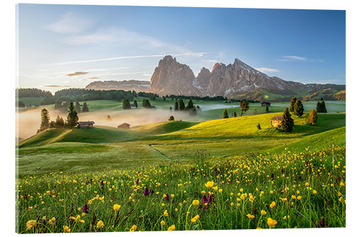 Acrylic print Spring on the Seiser Alm Südtirol