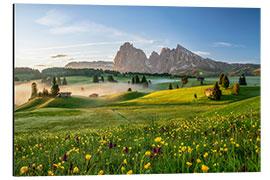 Alubild Frühling auf der Seiser Alm Südtirol