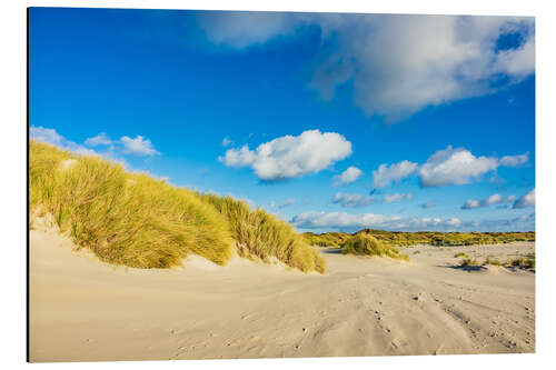 Aluminium print Landscape with dunes on the island Amrum, Germany