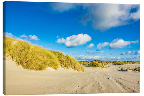 Canvas print Landscape with dunes on the island Amrum, Germany