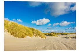 Foam board print Landscape with dunes on the island Amrum, Germany