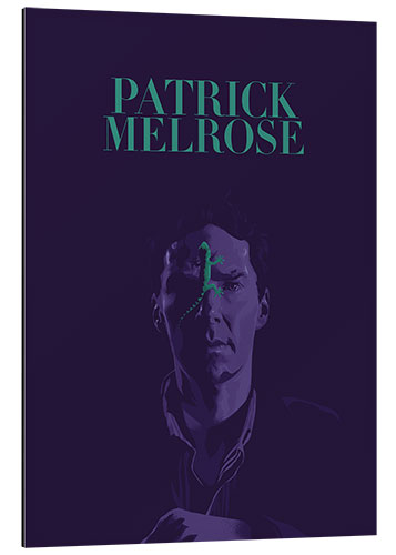 Cuadro de aluminio Patrick Melrose