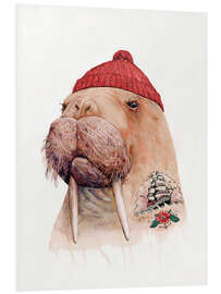 Foam board print Tattooed walrus with red cap