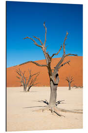 Aluminium print Dead Vlei