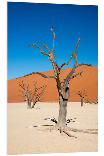 Tableau en PVC Dead Vlei, Namibie