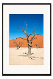 Gerahmter Kunstdruck Dead Vlei
