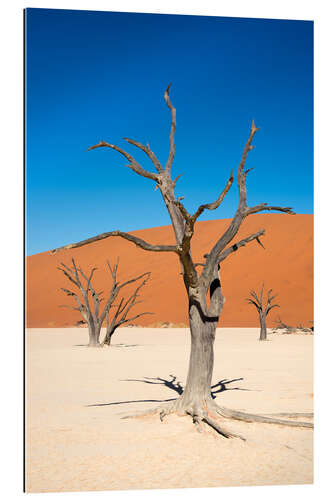 Galleritryk Dead Vlei