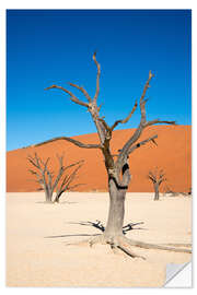 Sisustustarra Dead Vlei