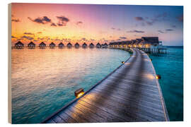 Obraz na drewnie Romantic sunset in the Maldives