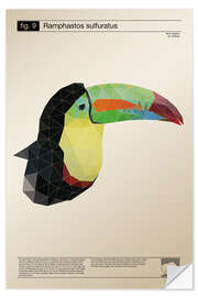 Sticker mural Toucan polygonal (anglais)