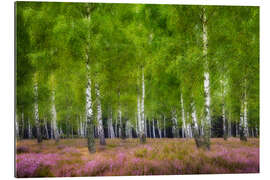 Gallery print Birch forest with heather