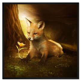 Gerahmter Kunstdruck Kleiner Fuchs und die Blume