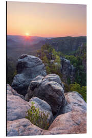 Magnettafel Heringstein