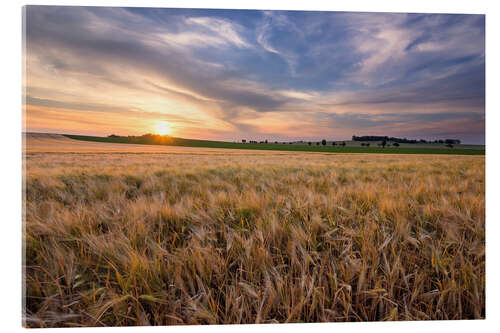 Acrylic print Summer evening