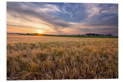 Foam board print Summer evening