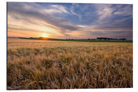 Magnettafel Sommerabend