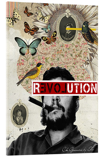 Acrylic print Che revolution