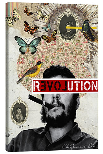 Obraz na płótnie Che revolution