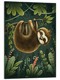 Gallery print Hanging Sloth II