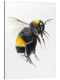 Aluminium print Pretty bumblebee