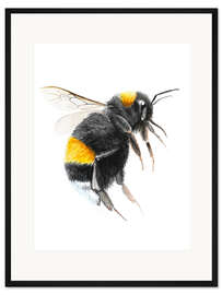 Gerahmter Kunstdruck Hübsche Hummel