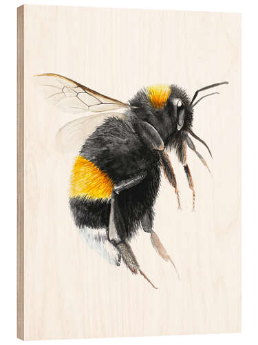 Wood print Pretty bumblebee