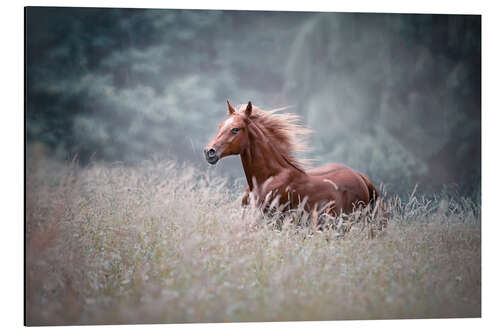 Aluminiumtavla Gallop