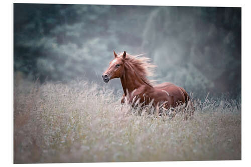 Tableau en PVC Galop