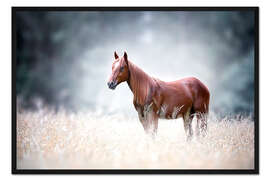 Gerahmter Kunstdruck Pferd