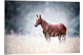 Galleritryck Horse