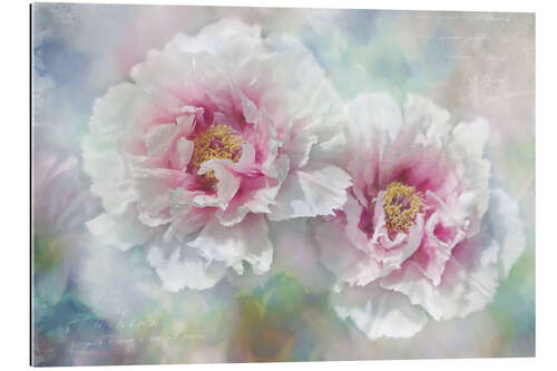 Tableau en plexi-alu Amour de pivoines 3