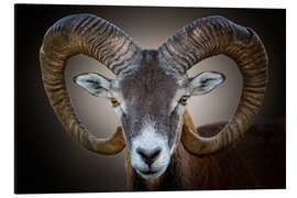 Magnettafel Gehörnt