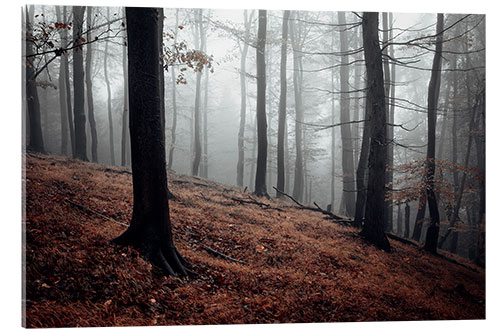 Acrylic print Mystical fog in the resin forest