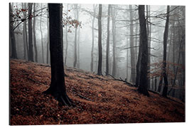 Aluminium print Mystical fog in the resin forest