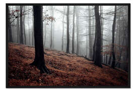 Gerahmter Kunstdruck Mystischer Nebel im harzer Wald