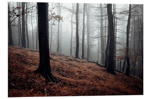 Foam board print Mystical fog in the resin forest