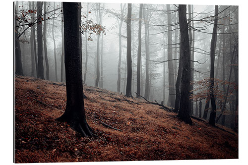 Galleritryk Mystical fog in the resin forest