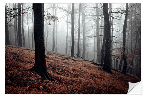 Wandsticker Mystischer Nebel im harzer Wald