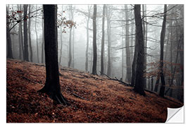 Selvklebende plakat Mystical fog in the resin forest