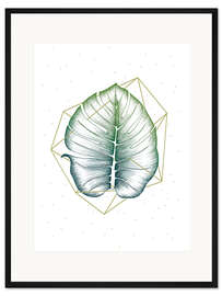 Gerahmter Kunstdruck Geometrie und Natur II