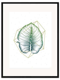 Framed art print Geometry and nature II