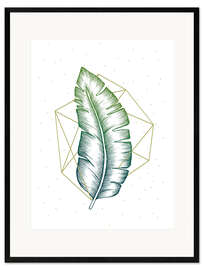 Framed art print Geometry and nature V