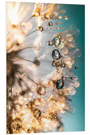 Foam board print Dandelion summer in turquoise gold