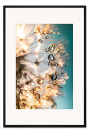 Gerahmter Kunstdruck Sommer-Pusteblume in Türkis/Gold