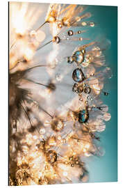 Magnettafel Sommer-Pusteblume in Türkis/Gold