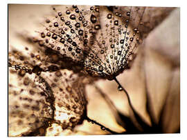 Magnettafel Pusteblume Goldglanz