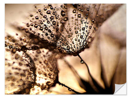 Autocolante decorativo Pusteblume Goldglanz